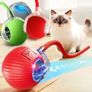 Cat Interactive Ball Toys