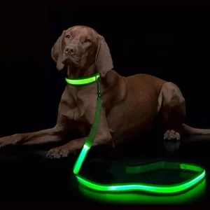 LED Light Up Dog Leash Luminous Rope
