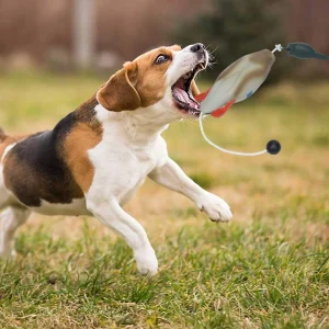Duck Bumper Toy for Hunting Dogs